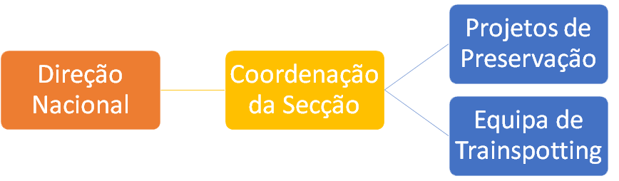 A secção reporta diretamente à Direção Nacional e tem autonomia para desenvolver os seus projetos, dentro do estatutariamente admissível.